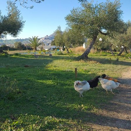 Bungalow -Escapadas En Arcos De La Frontera Dış mekan fotoğraf